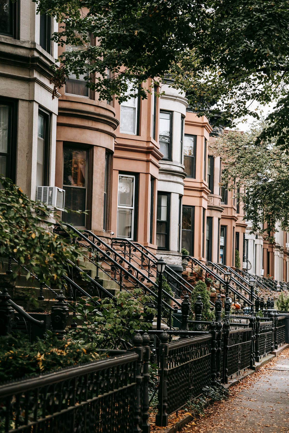 A row of brownstone buildings on a tree lined street